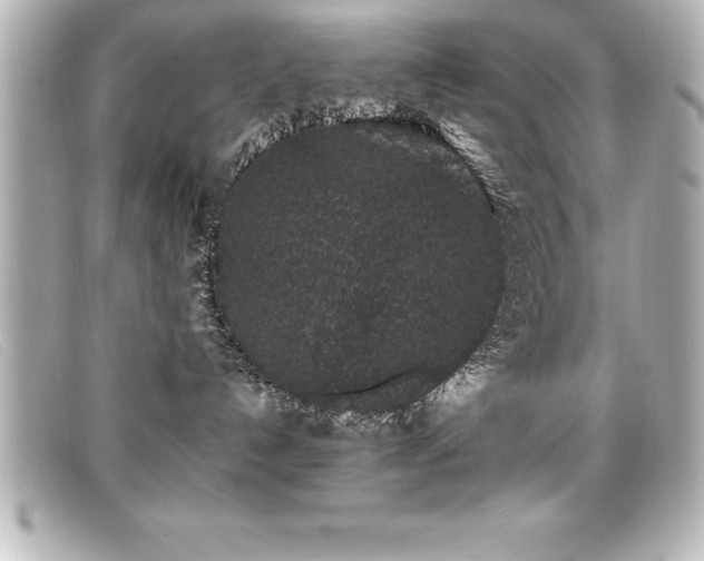 X0000099470192200805091555
