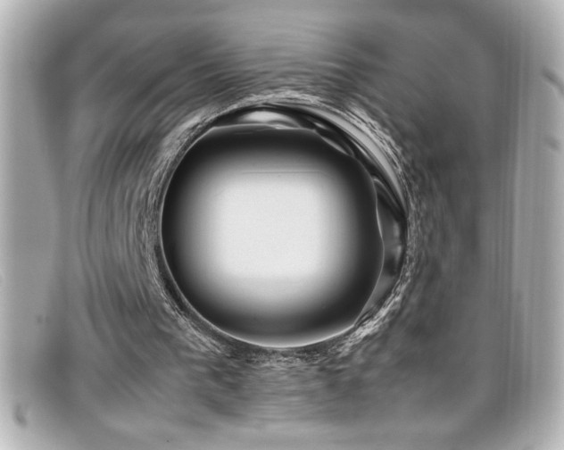 X0000099470193200805091554