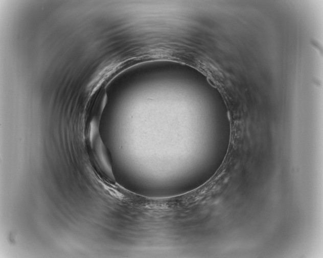 X0000099470194200805091554