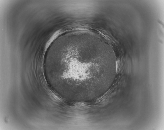 X0000099470195200805091554