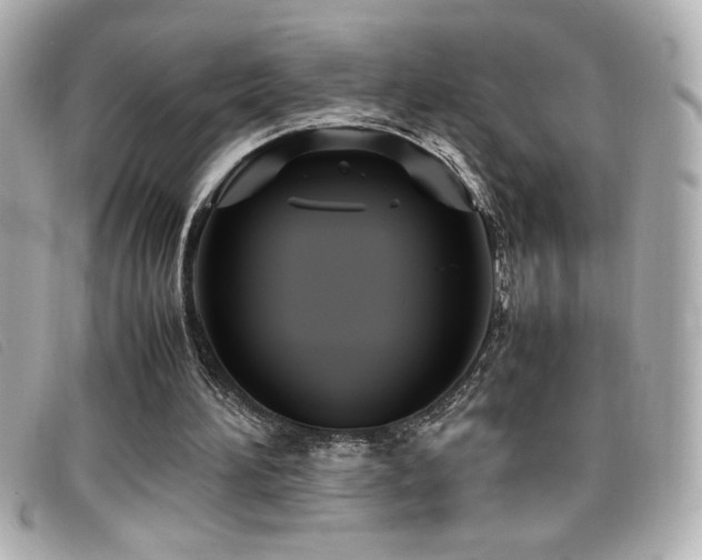 X0000099470196200805091554