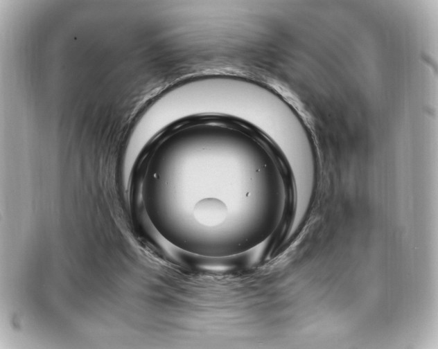 X0000099470201200805091554