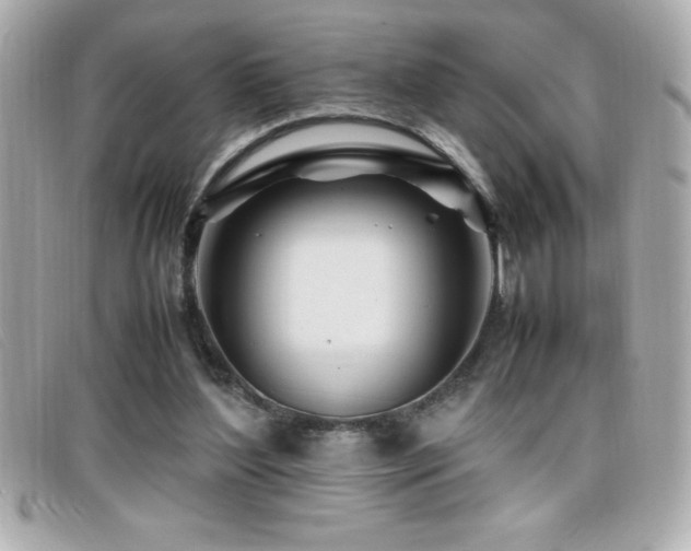 X0000099470204200805091554