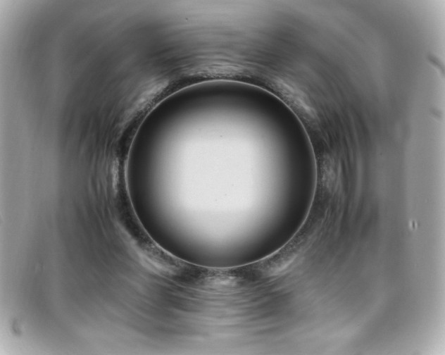 X0000099470206200805091554