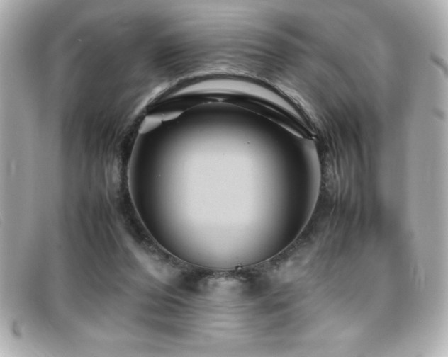 X0000099470208200805091554