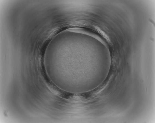 X0000099470209200805091554