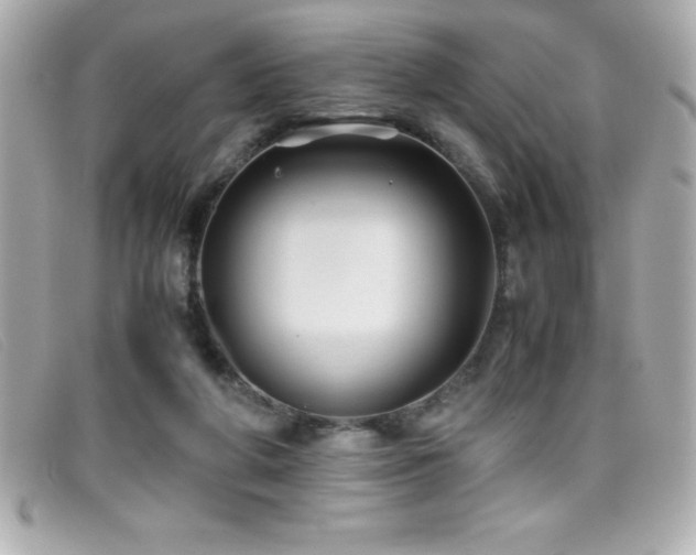X0000099470210200805091554
