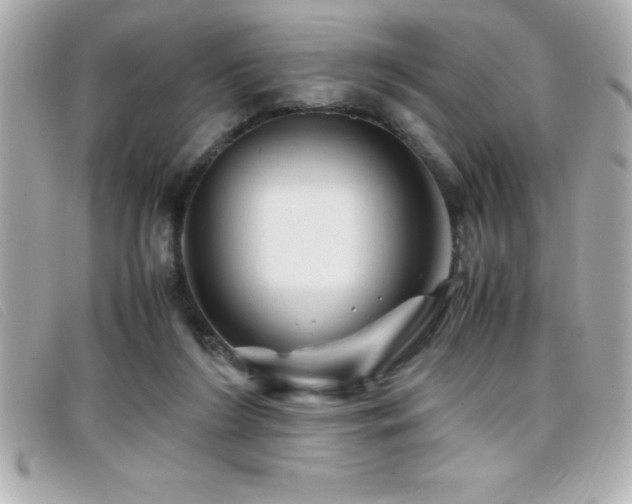 X0000099470212200805091554
