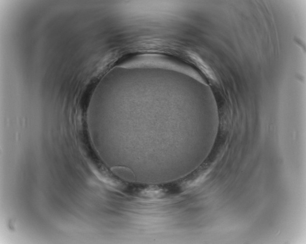 X0000099470213200805091554