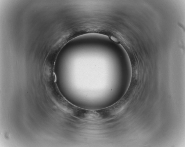 X0000099470215200805091554