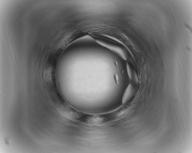 X0000099470217200805091554