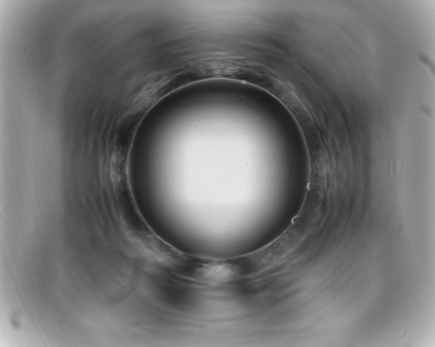 X0000099470218200805091554