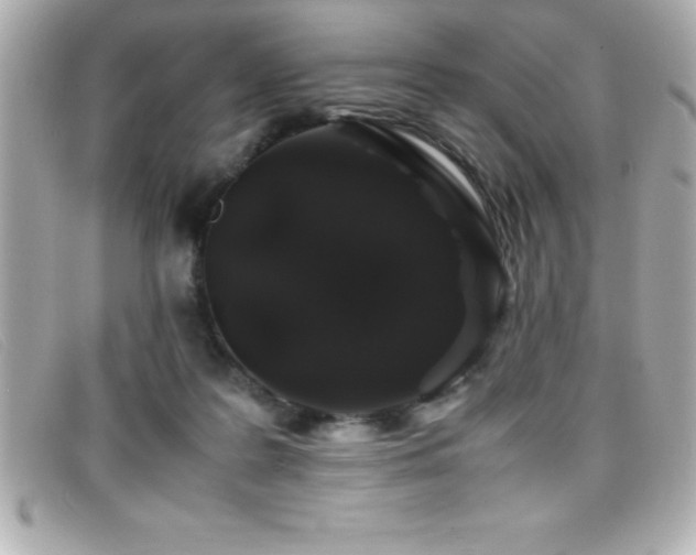 X0000099470219200805091554