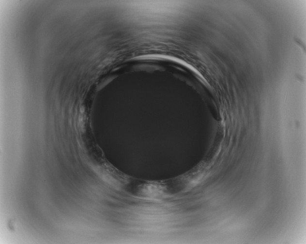X0000099470223200805091554
