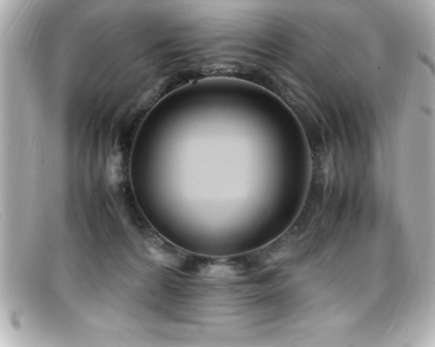X0000099470224200805091554