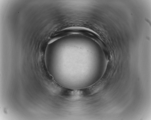 X0000099470225200805091554