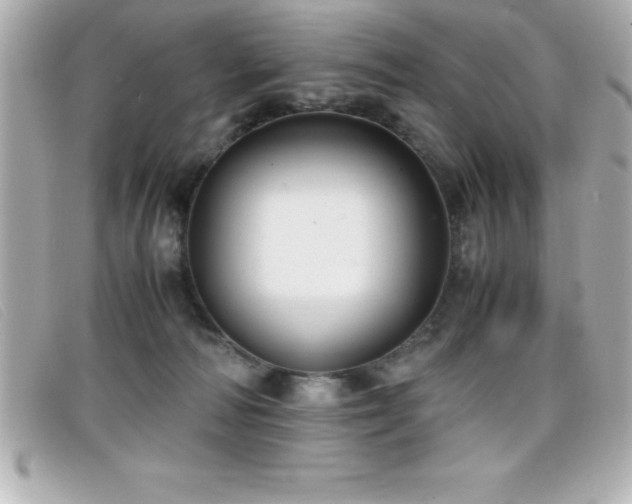 X0000099470226200805091554