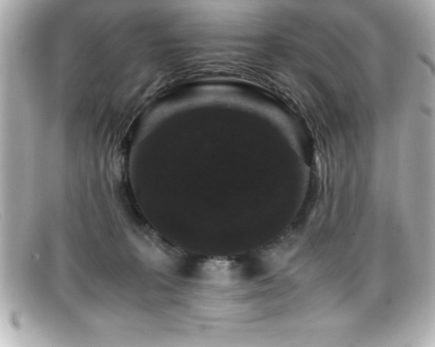 X0000099470227200805091554