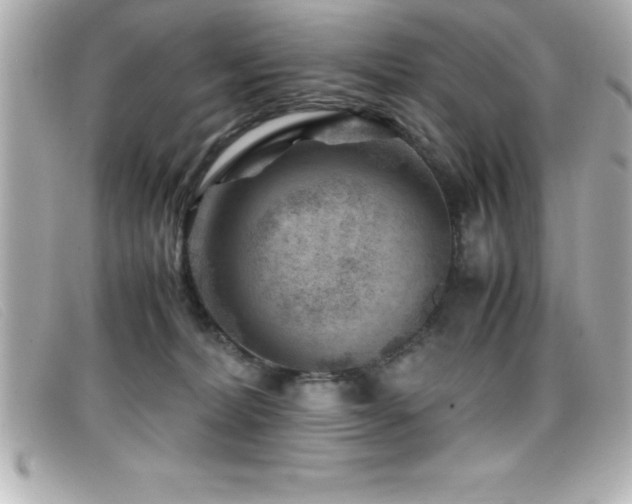 X0000099470228200805091554