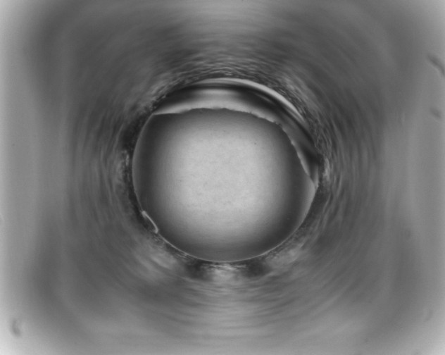X0000099470229200805091554