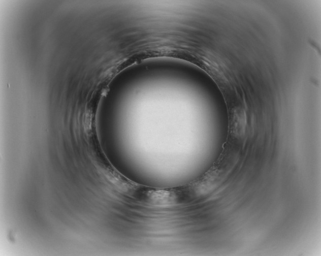 X0000099470230200805091554