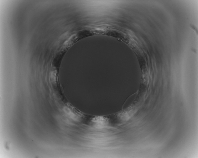 X0000099470231200805091554