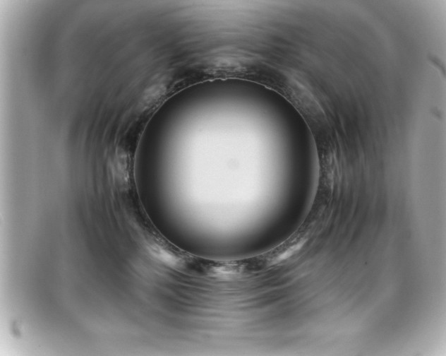 X0000099470232200805091554