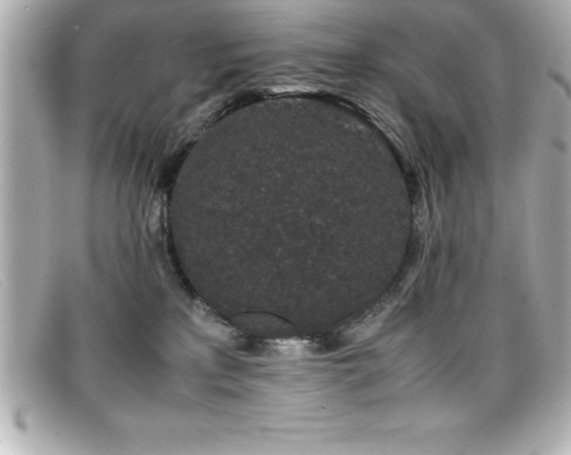 X0000099470233200805091554