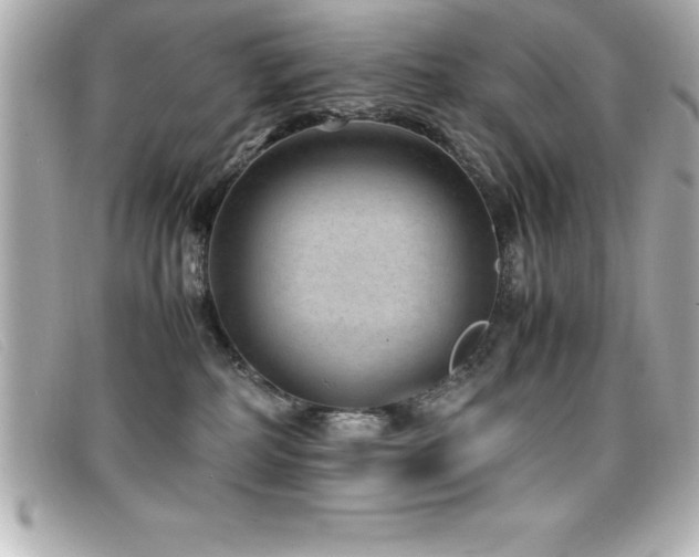 X0000099470234200805091554