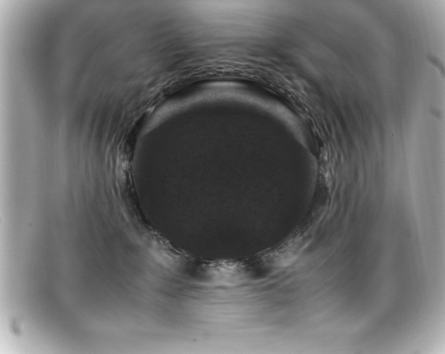 X0000099470235200805091554