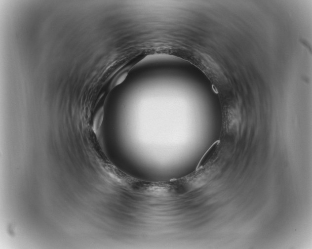 X0000099470236200805091554