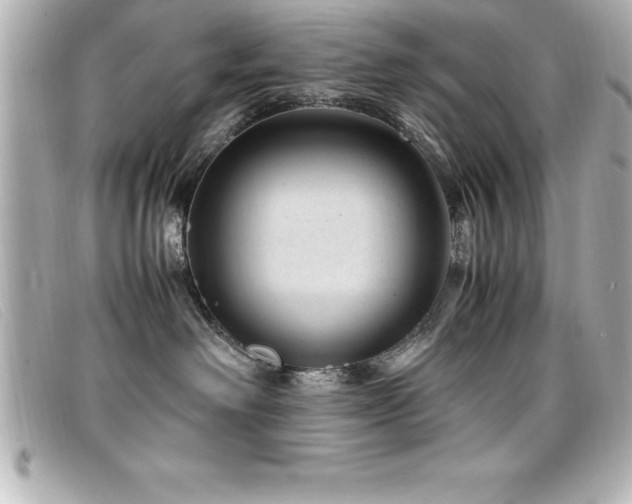 X0000099470238200805091554