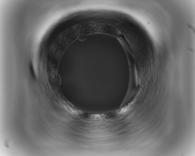 X0000099470239200805091554