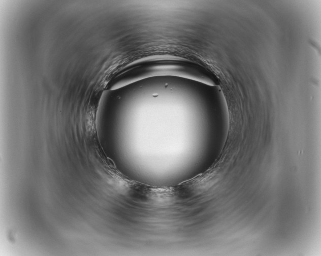 X0000099470240200805091554