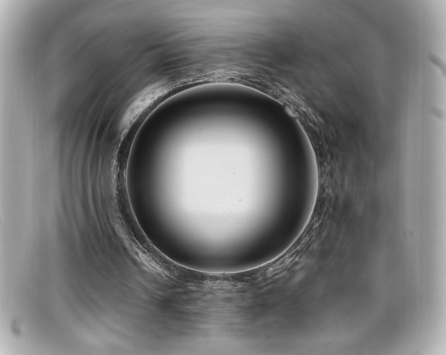 X0000099470242200805091553