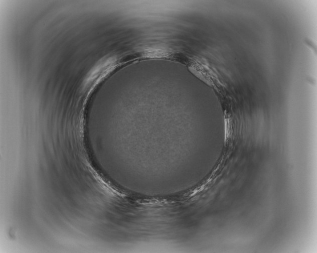 X0000099470243200805091553