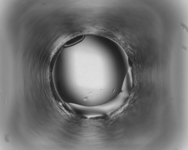 X0000099470244200805091553