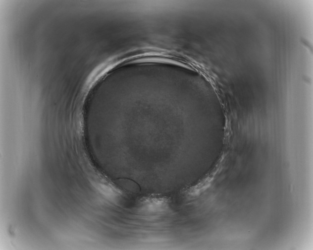 X0000099470247200805091553