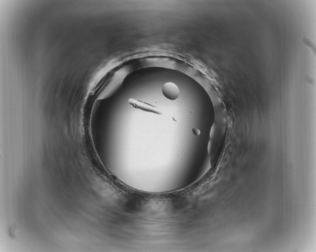 X0000099470248200805091553