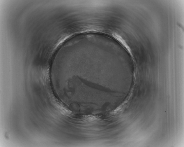 X0000099470249200805091553