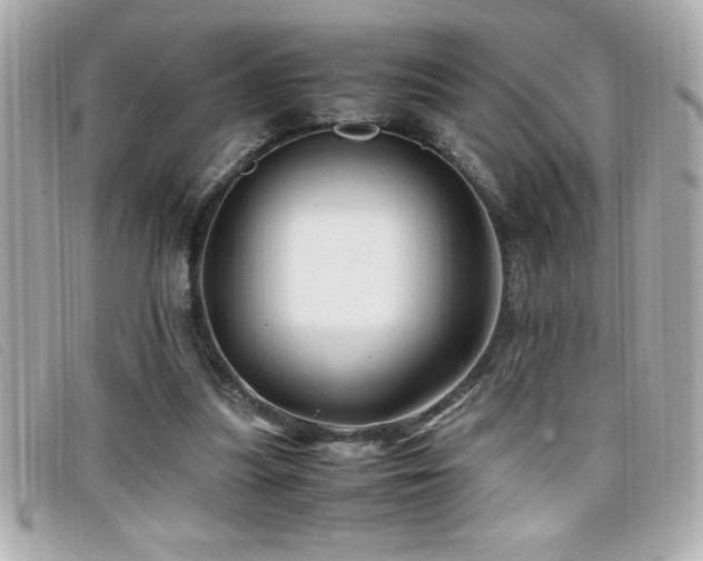 X0000099470251200805091553