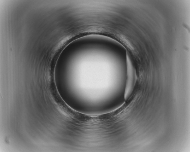 X0000099470252200805091553