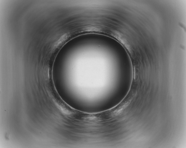 X0000099470253200805091553