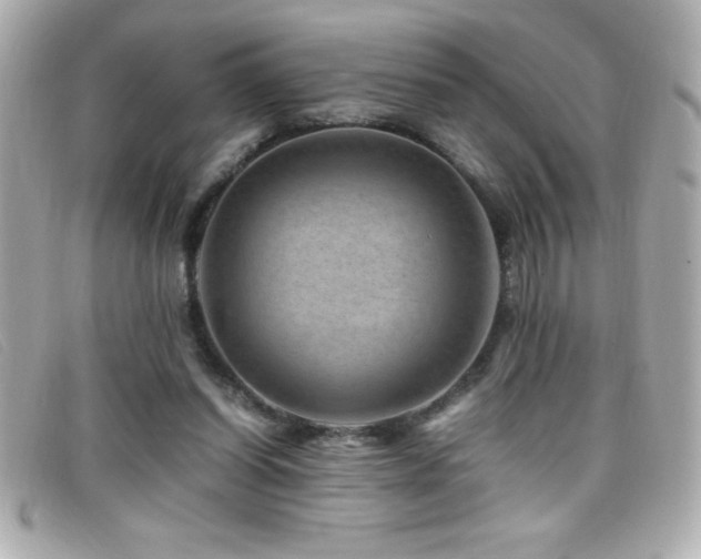 X0000099470254200805091553