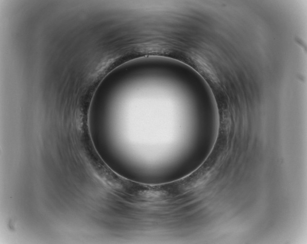 X0000099470255200805091553