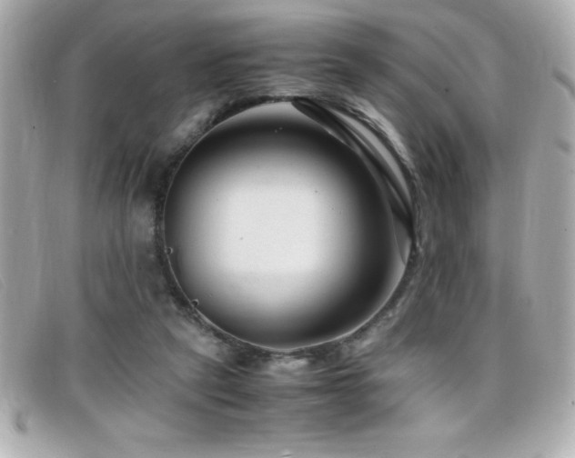 X0000099470257200805091553