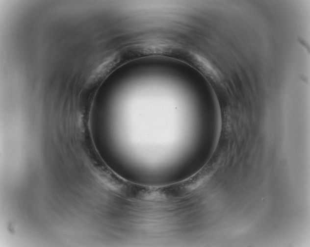 X0000099470258200805091553