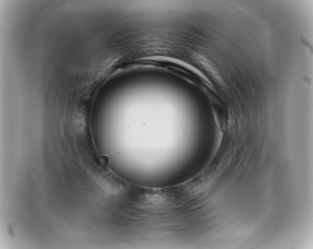 X0000099470259200805091553