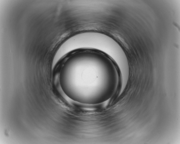 X0000099470260200805091553