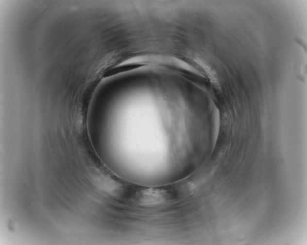 X0000099470261200805091553
